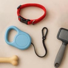 pet-accessories-category
